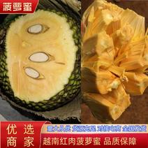 越南红肉菠萝蜜大量上市中，红心菠萝蜜当季水果一手货源
