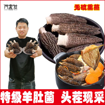 头茬羊肚菌福建原产地7至10公分新货煲汤食材