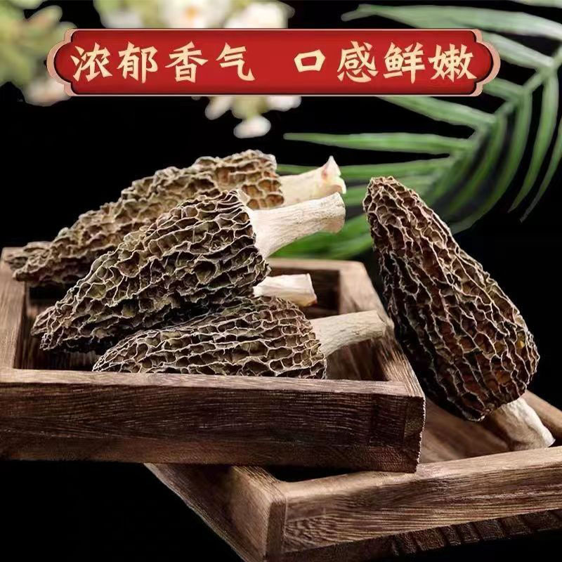 头茬羊肚菌福建原产地7至10公分新货煲汤食材