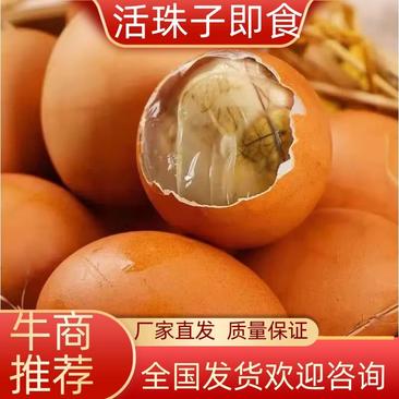 活珠子即食新鲜鸡胚胎蛋。价格美丽，全国招商代理。