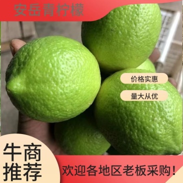【推荐】安岳青柠，个个饱满，品质保障，产地发货，一件代发