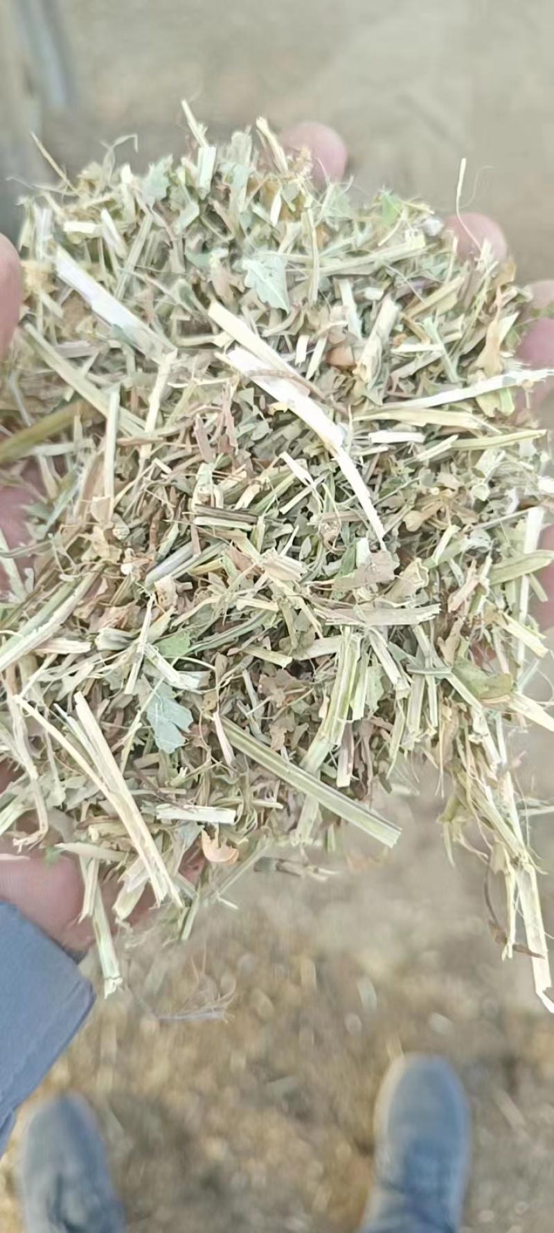 【推荐】花生秧2-3公分草段马羊理想饲料欢迎来电咨询