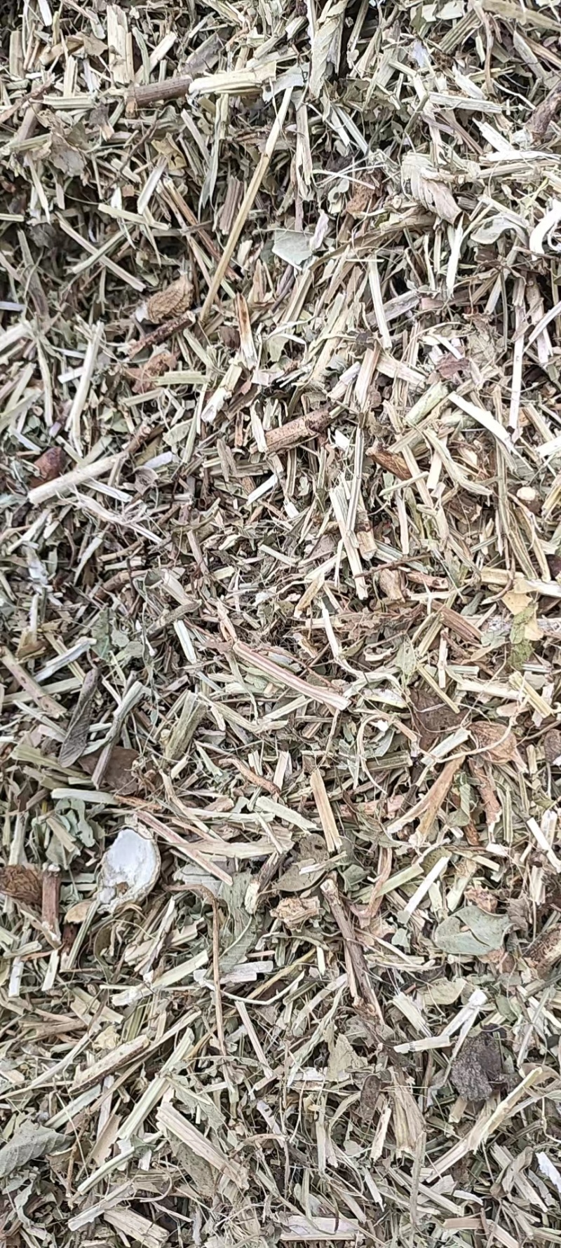 【推荐】花生秧2-3公分草段马羊理想饲料欢迎来电咨询