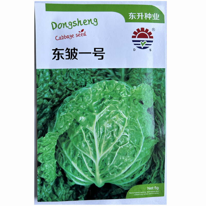 泡泡甘蓝甘兰种子沙拉春夏秋播蔬菜皱叶甘蓝种籽四季蔬菜种孑