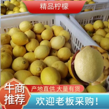 【实力代办】安岳柠檬产地货源大量供应可视频看货