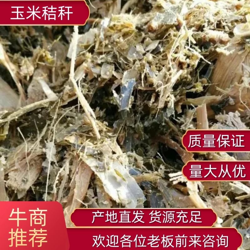 青贮青储黄储玉米杆量大从优可视频看货
