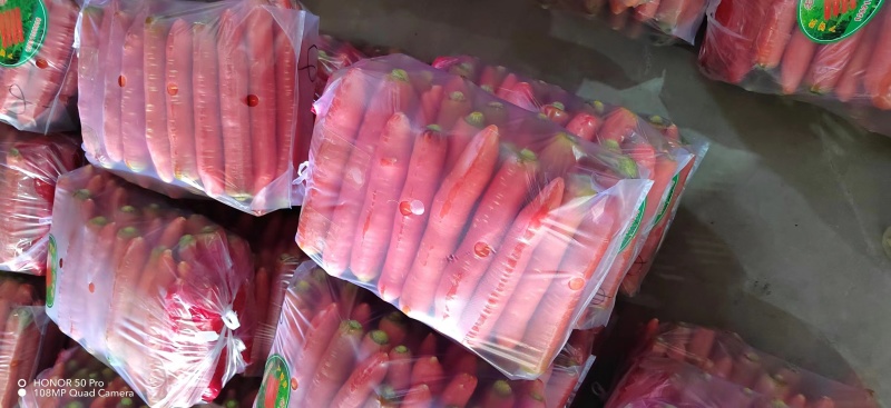 红萝卜胡萝卜欢迎采购质量保证发货全国