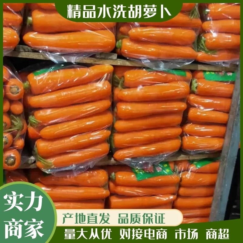 【实力】胡萝卜产地直发品质保证对接电商市场商超