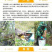 云南德宏土蜂蜜500克野生土蜂蜜桂花蜜槐花蜜樱花蜜龙眼蜜