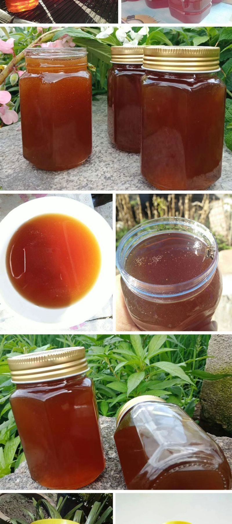 云南德宏土蜂蜜500克野生土蜂蜜桂花蜜槐花蜜樱花蜜龙眼蜜