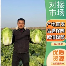 【现砍现发】黄心大白菜持续大量走货中欢迎来电咨询