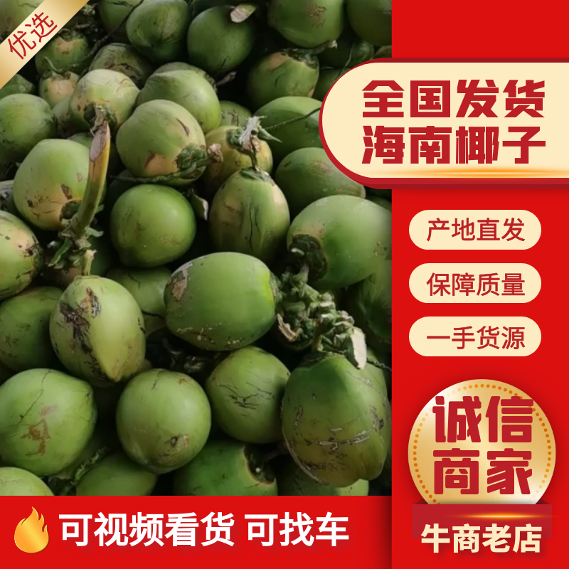 【椰子】海南精品椰子一手货源可视频看货【商超品质】