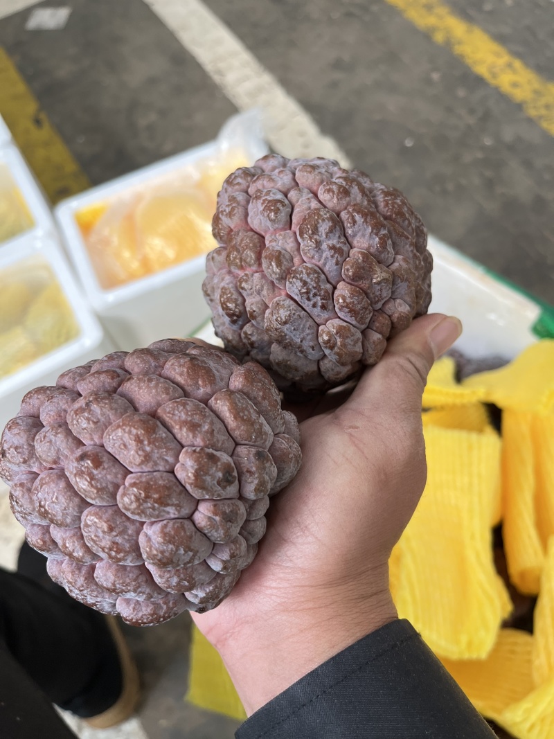 现摘现发/来自祖国大陆最南端的玫瑰红释迦/鲜甜软糯