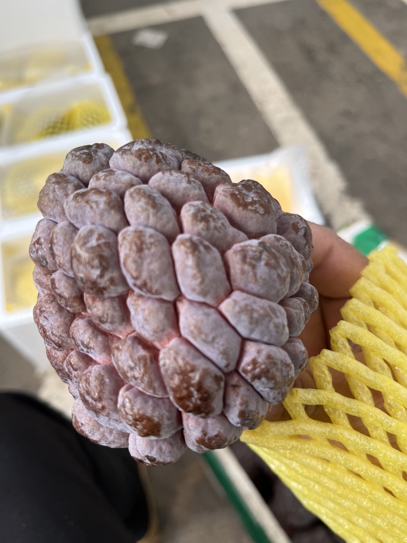 现摘现发/来自祖国大陆最南端的玫瑰红释迦/鲜甜软糯