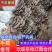 【菌棒】平菇菌棒到家划口既出菇免费提供技术指导欢迎选购