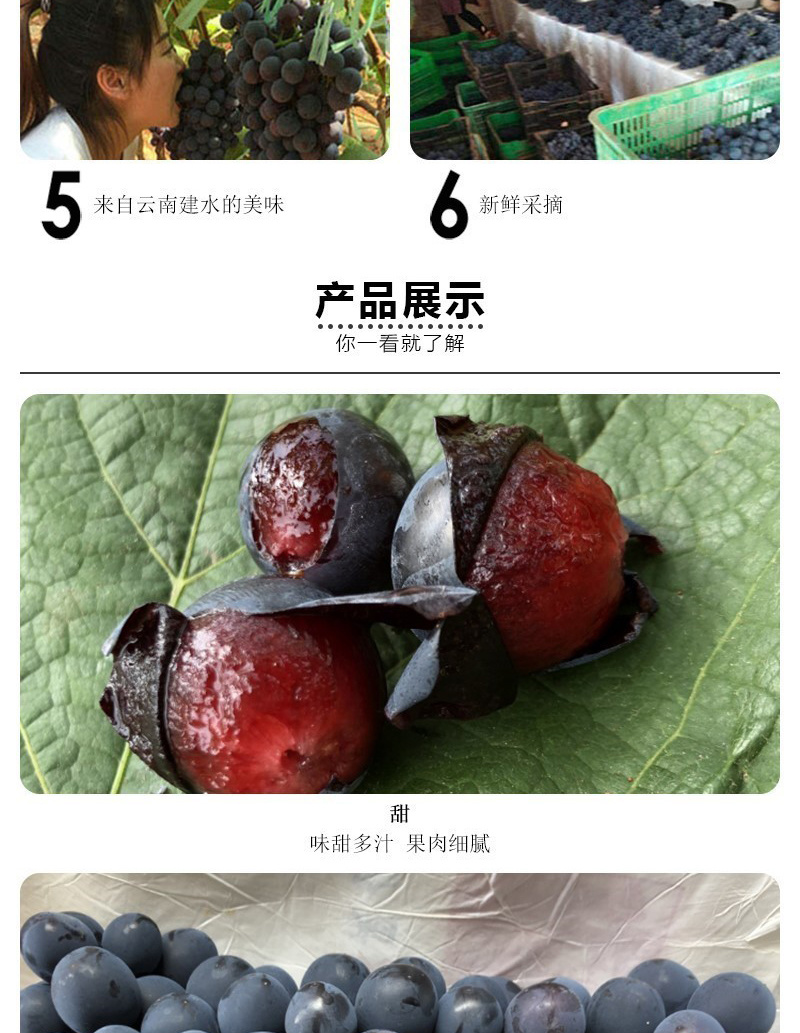 云南夏黑无籽葡萄当季无核黑提子孕妇坏果赔付黑加仑新鲜水果