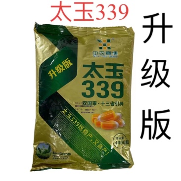 太玉339升级版玉米种子轴细粒深抗病害丰产性好玉