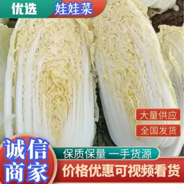 【精品】娃娃菜万亩基地直供诚信报价实力代办，欢迎新