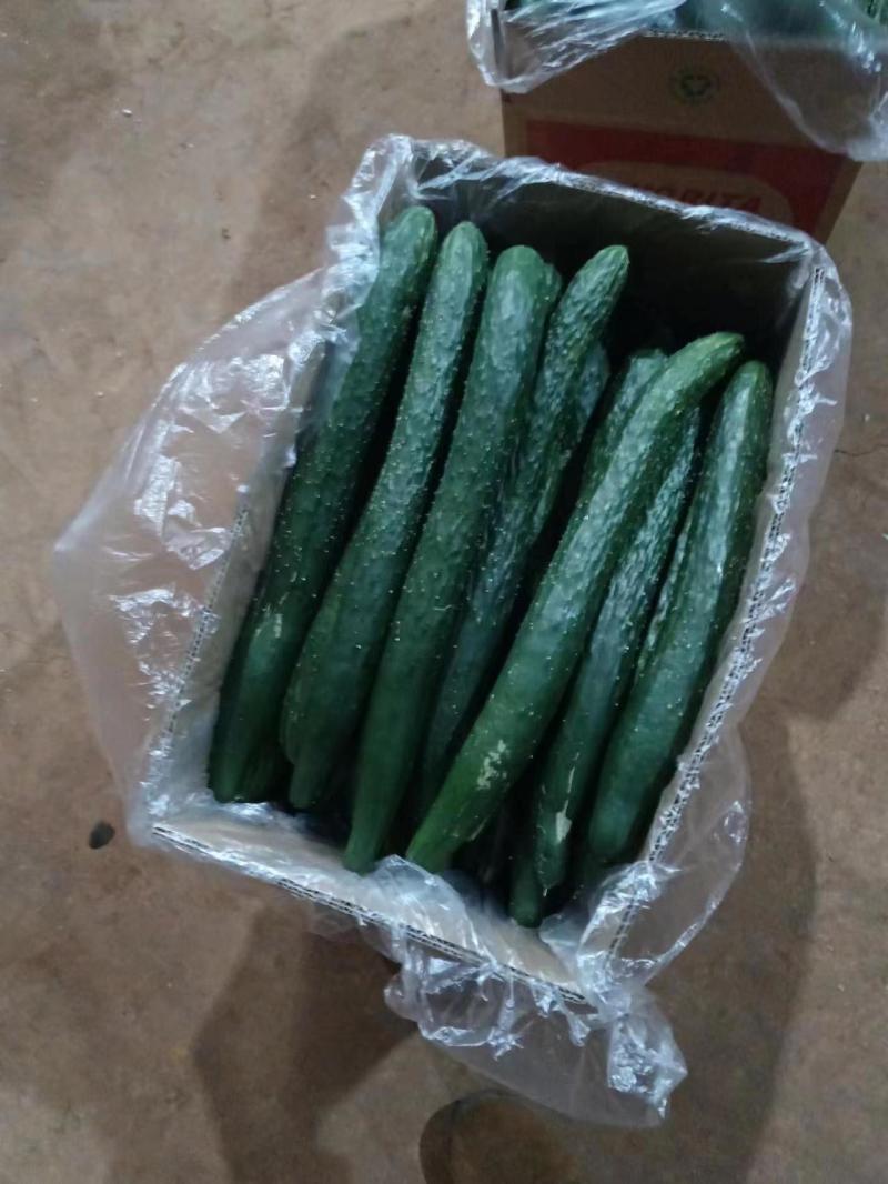 产地货，直发全国发货电商，市场，厂家，品质保证合作愉快