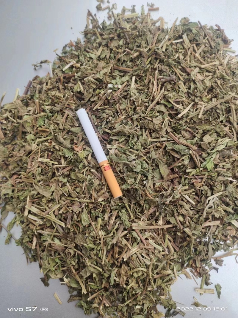 薄荷段中药材新货品质上乘破损包赔欢迎咨询联系