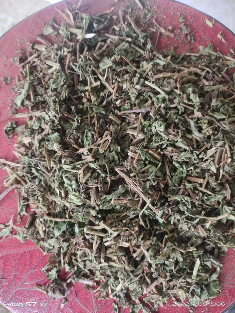 薄荷段中药材新货品质上乘破损包赔欢迎咨询联系