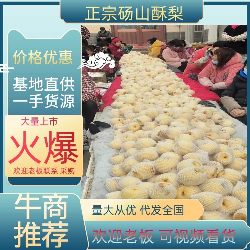 砀山酥梨产地直发脆甜多汁全国发货品质保证