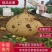 精品豆薯产地货源质量保证品质上乘欢迎联系