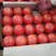 精品西红柿大量供应产地直发质量保证货源充足欢迎选购
