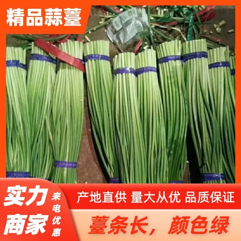 【精品】金乡蒜苔自营冷库出租一手货源直接拿货代存实力配资