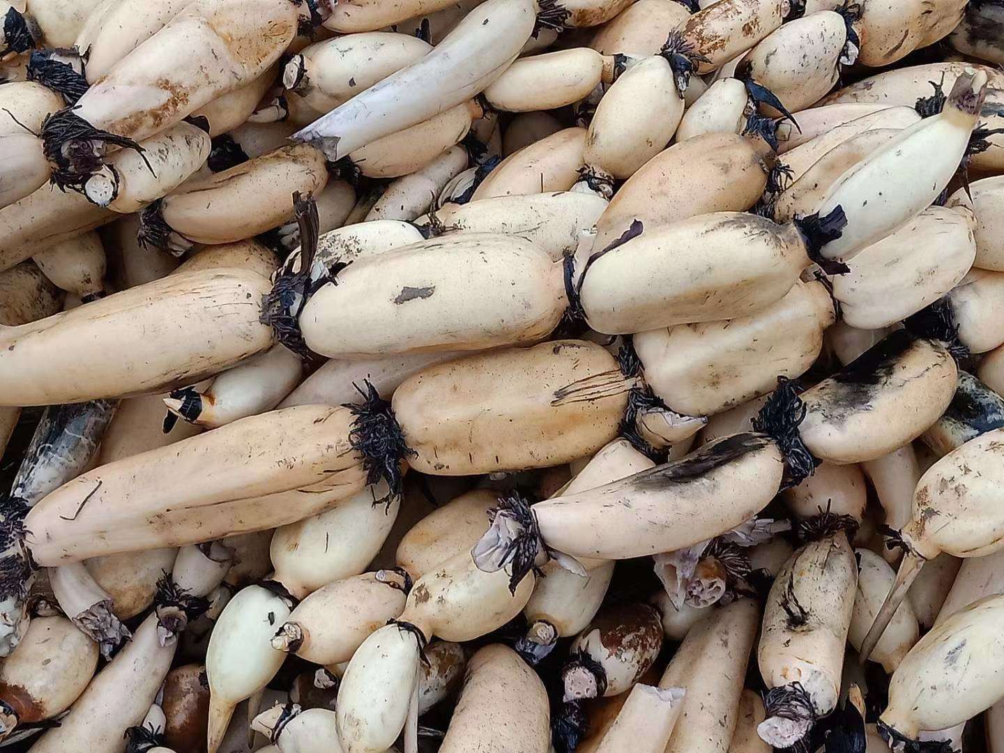 莲藕变黑的特写照片