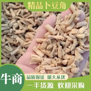 山东精品卜豆角产地直发品质保证一手货源量大从优