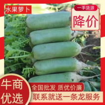 山东济南平阴大量供应水果萝卜、规格齐全，可加工各种包装。