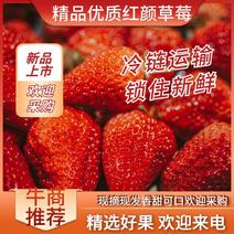 精品红颜草莓香甜可口基地直供一手货源欢迎采购