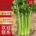 河北精品芹菜品质保证，大量有货，诚信经营，全国发货