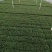 玉龙草矮麦冬场地直销大量供应欢迎咨询