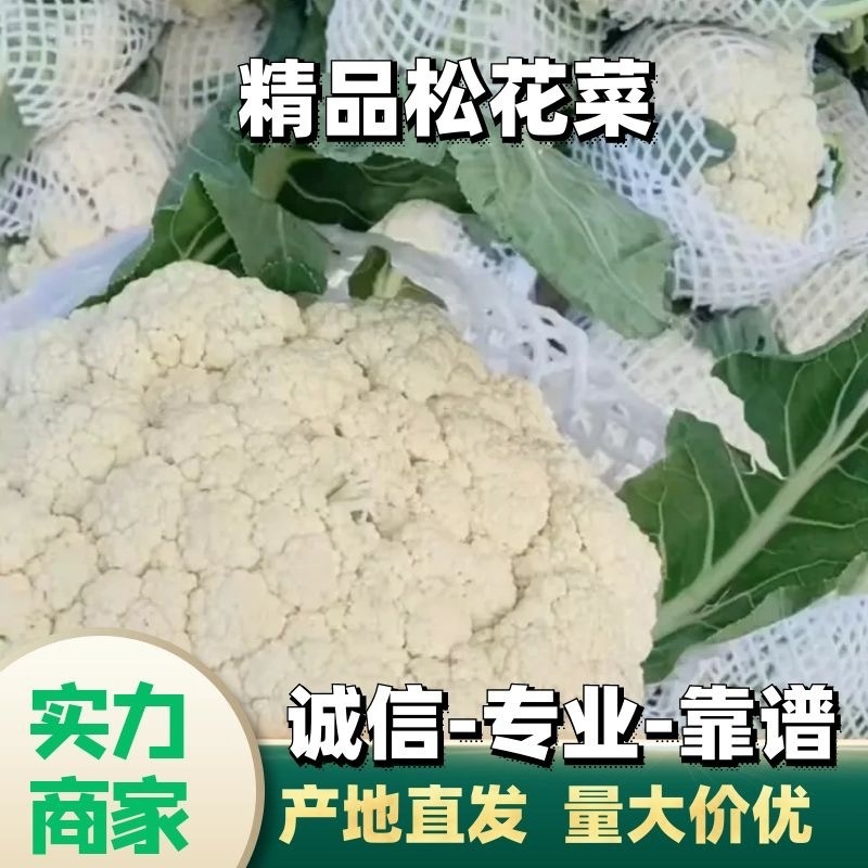 【产地发货】菜花有机花松花菜白面青梗散花