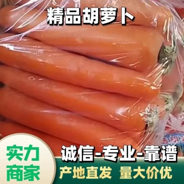 精品胡萝卜，大量有货，品质保证量大从优