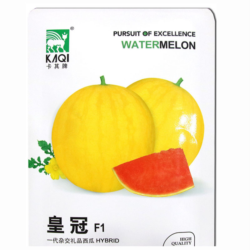 金宝宝西瓜种子黄皮红瓤早熟水果种子礼品西瓜皮薄抗裂