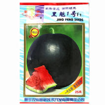 黑魁1号西瓜种子水果种子大红瓤口感脆沙清新甜润多汁早熟