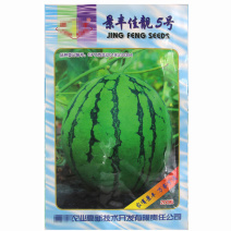 景丰佳靓5号西瓜种子早熟薄皮红瓤西瓜种籽花皮圆果高甜西瓜