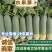 山东水果萝卜绿萝卜商超，电商平台，水洗加工