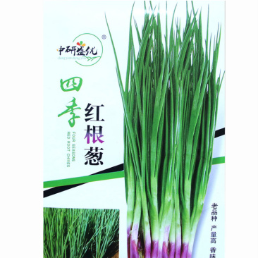 红根葱种子四季红根小香葱种子老品种高香味浓郁生长快