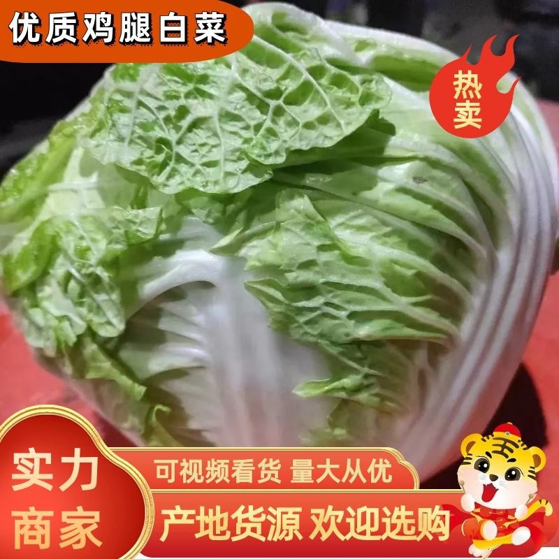 [大白菜]鸡腿大白菜产地白菜欢迎来电采购