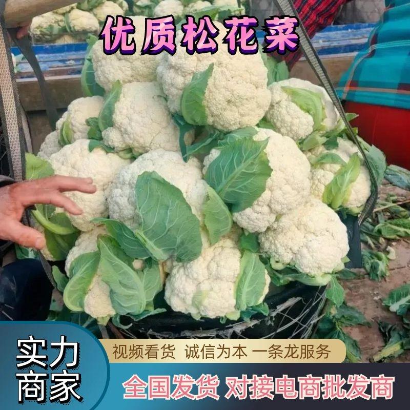 [松花菜]菜花有机花菜花菜白面青梗质优价廉市场商超