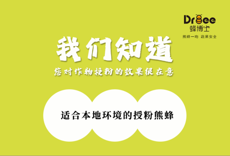 DRBEE蜂博士熊蜂授粉熊蜂