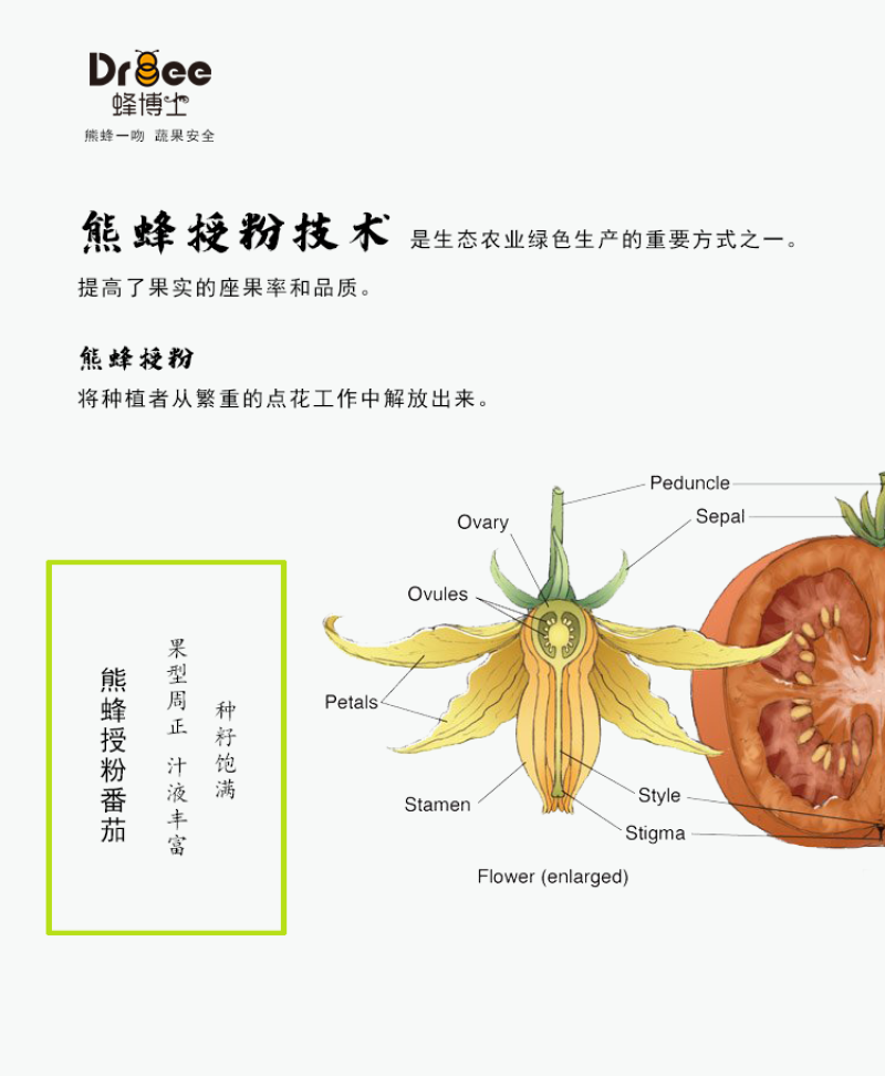 熊蜂