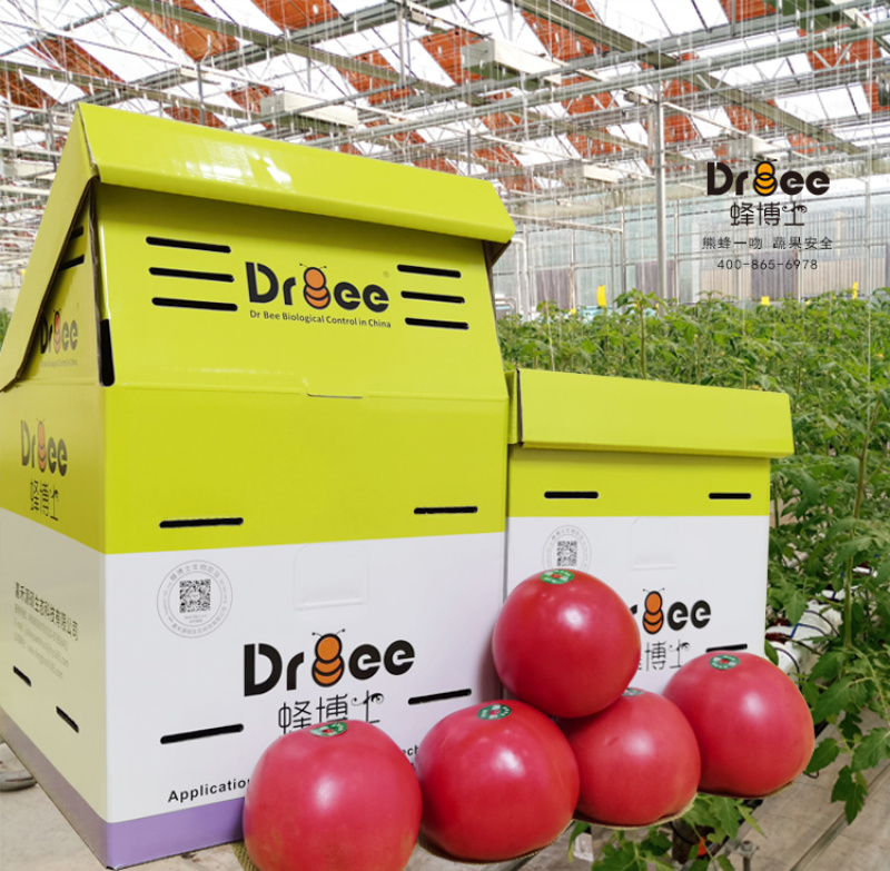 DRBEE蜂博士熊蜂