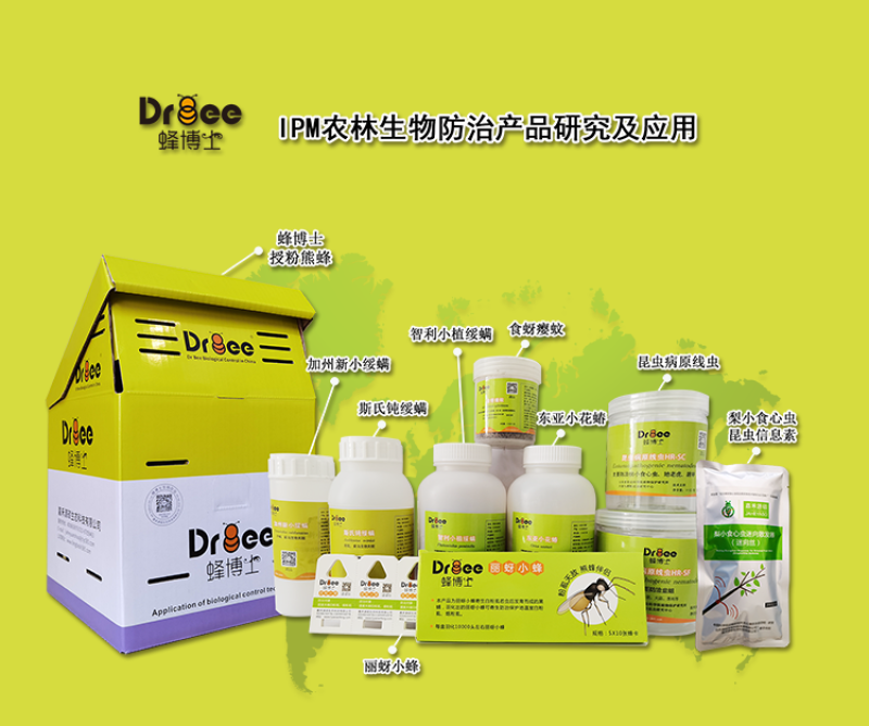 DRBEE蜂博士熊蜂