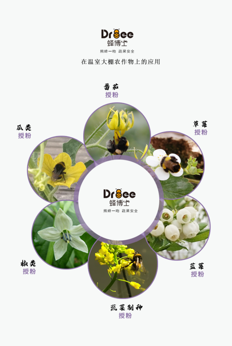 熊蜂工厂直发