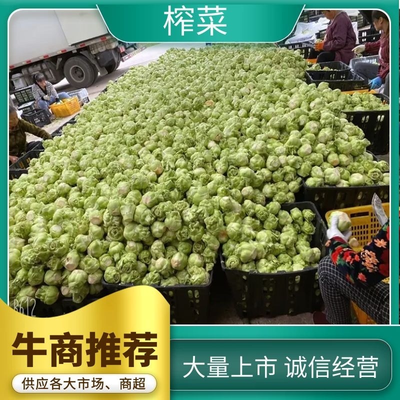 【精品】四川榨菜精品榨菜大量有货好品质欢迎合作